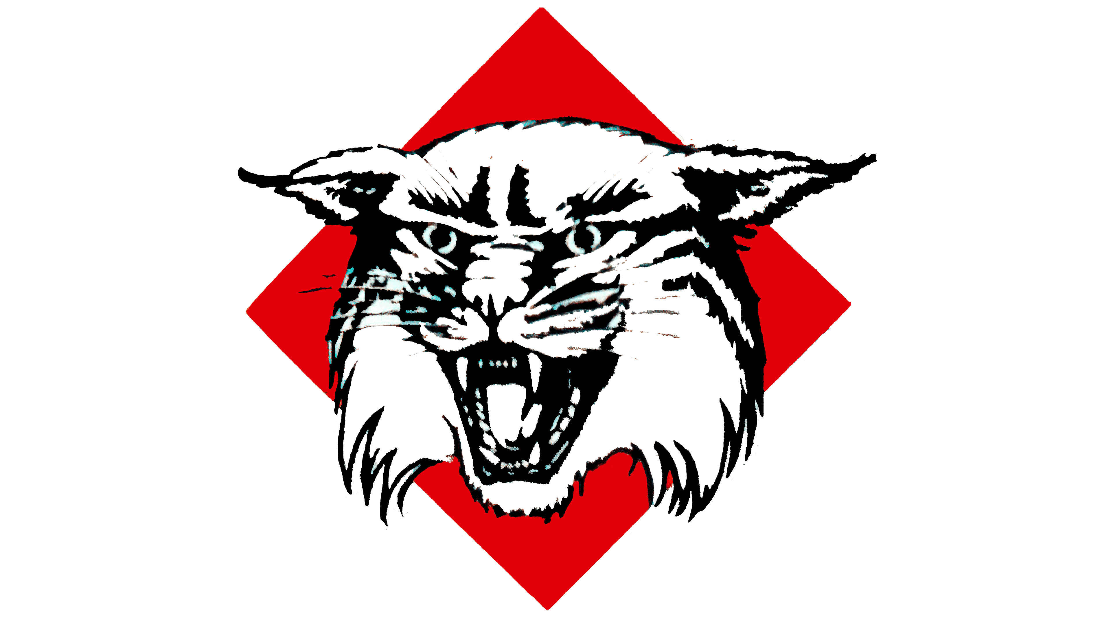 Logo Davidson